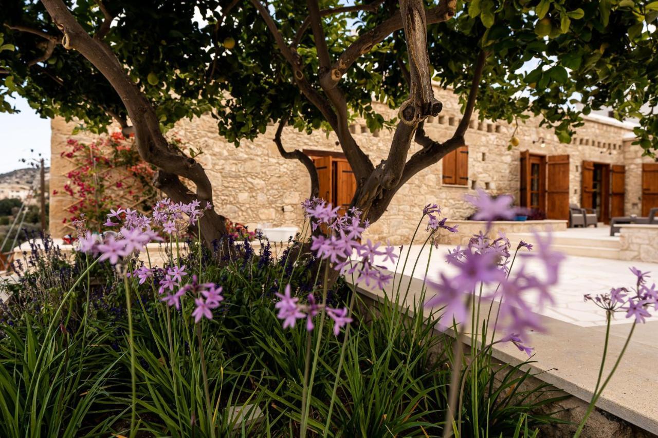 Harma Traditional Boutique Suites Paphos Exteriér fotografie